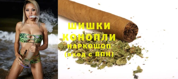 PSILOCYBIN Абдулино
