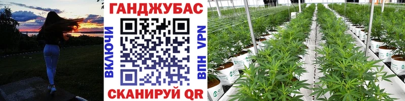 Каннабис THC 21%  закладки  Стерлитамак 